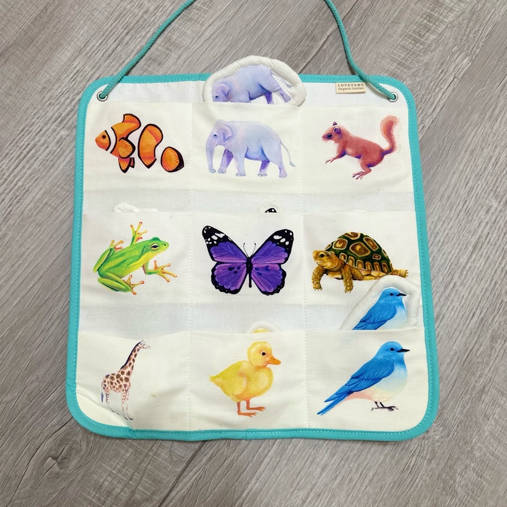 White and Blue Animal Learning Cards